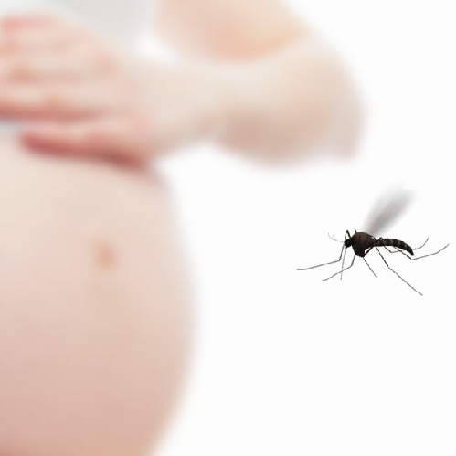 Zika Vírus e gestação