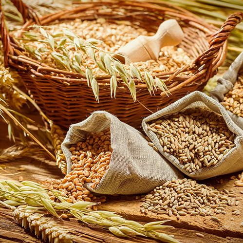 Consumir grãos integrais ajuda na perda de peso e acelera o metabolismo