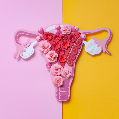Posicionamento sobre Gestrinona da Comissão Nacional Especializada em Endometriose da Febrasgo e Sociedade Brasileira de Endometriose e Cirurgia Minimamente Invasiva