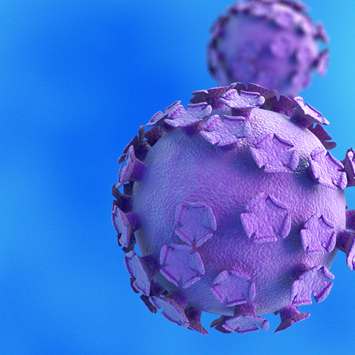Por que tanta gente tem HPV? Quem já pegou fica com o vírus para sempre?